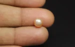 Natural Pearl 7.5 MM - 2.03 Carats - Image 2
