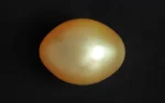 Natural Pearl - 2.62 Carats