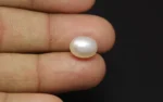 Natural Pearl - 6.02 Carats - Image 2