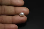 Natural Pearl - 3.28 Carats - Image 2
