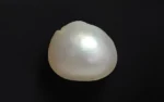 Keshi Pearl (Saltwater) - 3.19 Carats
