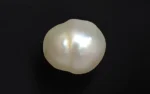 Keshi Pearl (Saltwater) - 3.15 Carats