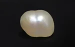 Keshi Pearl (Saltwater) - 3.45 Carats - Image 4
