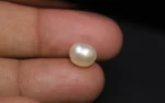 Keshi Pearl (Saltwater) - 3.45 Carats - Image 2