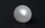 Keshi Pearl (Saltwater) - 9.27 Carats