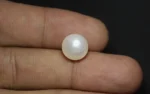 Keshi Pearl (Saltwater) 11 MM - 7.59 Carats - Image 2