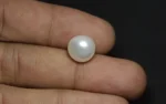 Keshi Pearl (Saltwater) - 8.27 Carats - Image 2