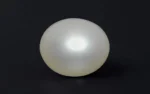 Keshi Pearl (Saltwater) - 7.08 Carats - Image 4
