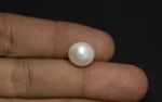 Keshi Pearl (Saltwater) - 8.15 Carats - Image 2