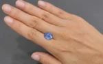 Blue Sapphire - 8.17 Carats - Image 3