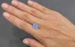 Blue Sapphire - 8.24 Carats - Image 3