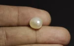 Natural Pearl - 5.36 Carats - Image 2