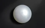Keshi Pearl (Saltwater) - 7.25 Carats
