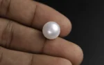 Keshi Pearl (Saltwater) - 7.25 Carats - Image 2