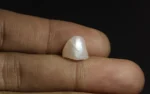 Natural Pearl - 5.27 Carats - Image 2