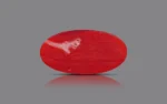 Red Coral - 6.98 Carats - Image 3