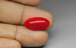 Red Coral - 6.98 Carats - Image 2