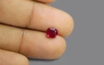 Burmese Ruby - 1.28 Carats - Image 2