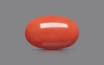 Red Coral - 27.89 Carats