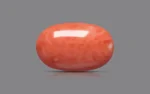 Red Coral - 27.89 Carats - Image 3