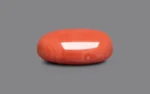Red Coral - 27.89 Carats - Image 4
