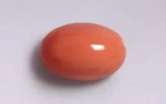 Red Coral - 15.81 Carats