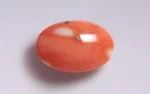 Red Coral - 15.81 Carats - Image 3