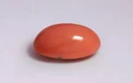 Red Coral - 15.81 Carats - Image 4