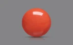 Red Coral 15 MM - 10.36 Carats