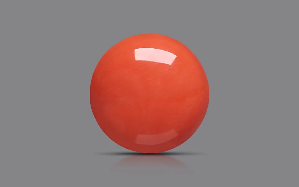 gp130939-1-201023 Red Coral 15 MM - 10.36 Carats - Image 1