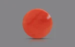 Red Coral 15 MM - 10.36 Carats - Image 3