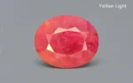 Burmese Ruby 14x12 MM - 9.41 Carats - Image 3