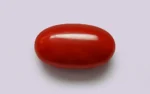 Red Coral - 5.04 Carats