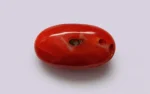 Red Coral - 5.04 Carats - Image 3