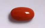 Red Coral - 13.15 Carats