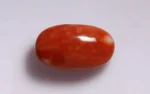 Red Coral - 13.15 Carats - Image 3