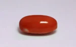 Red Coral - 13.15 Carats - Image 4