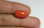 Red Coral - 13.15 Carats - Image 2