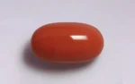 Red Coral - 13.53 Carats