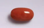 Red Coral - 13.53 Carats - Image 3