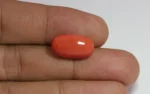 Red Coral - 13.53 Carats - Image 2