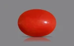 Red Coral - 6.63 Carats