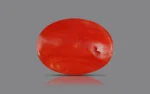 Red Coral - 6.63 Carats - Image 3