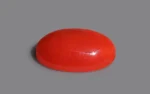 Red Coral - 6.63 Carats - Image 4