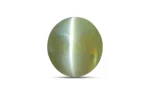 Chrysoberyl Cat's Eye - 2.20 Carats