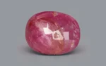 Burmese Ruby - 7.52 Carats - Image 4