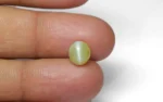 Chrysoberyl Cat's Eye - 3.26 Carats - Image 2