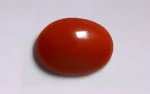 Red Coral 16x12 MM - 6.34 Carats