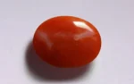 Red Coral 16x12 MM - 6.34 Carats - Image 3