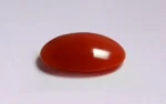 Red Coral 16x12 MM - 6.34 Carats - Image 4